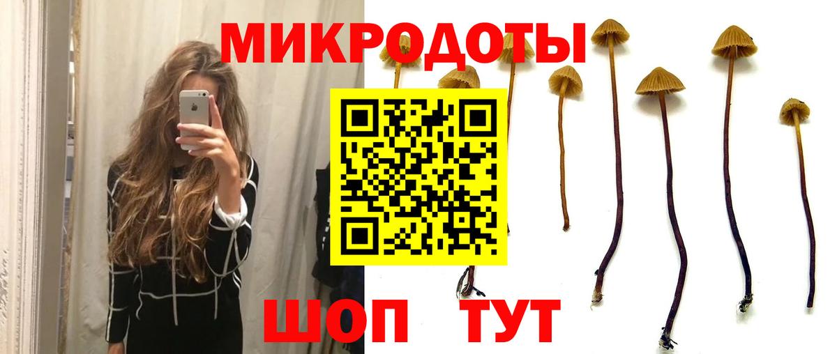 наркота  Вход с VPN  Лыткарино  Галлюциногенные грибы GOLDEN TEACHER 